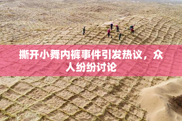 撕开小舞内裤事件引发热议，众人纷纷讨论