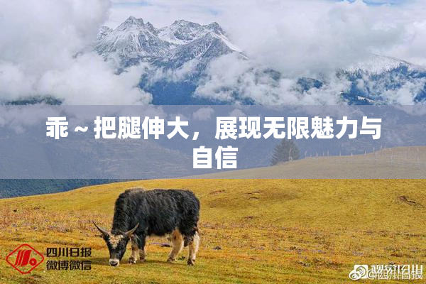 乖～把腿伸大，展现无限魅力与自信