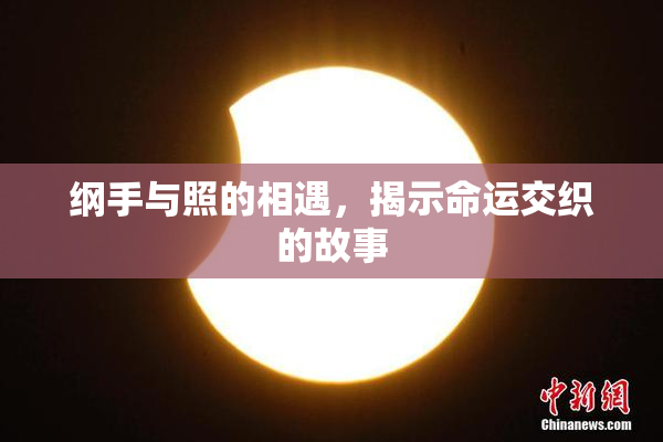 纲手与照的相遇，揭示命运交织的故事