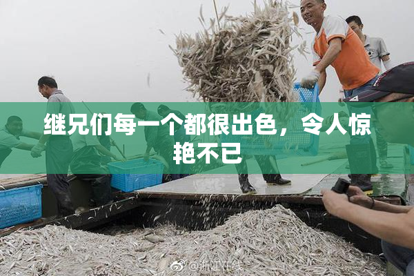 继兄们每一个都很出色，令人惊艳不已