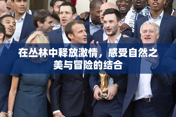 在丛林中释放激情，感受自然之美与冒险的结合