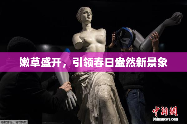 嫩草盛开，引领春日盎然新景象
