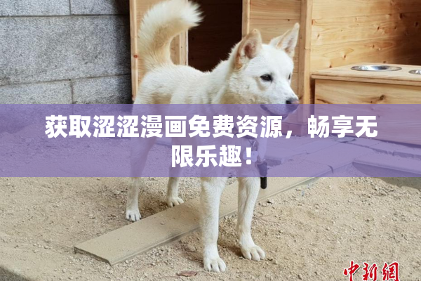 获取涩涩漫画免费资源，畅享无限乐趣！