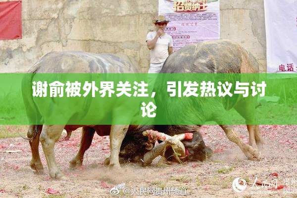 谢俞被外界关注，引发热议与讨论
