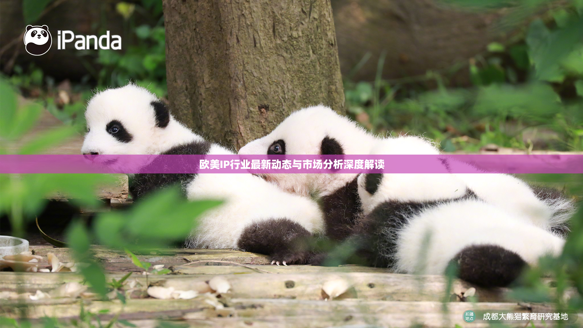 欧美IP行业最新动态与市场分析深度解读