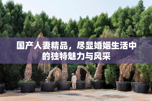 国产人妻精品，尽显婚姻生活中的独特魅力与风采