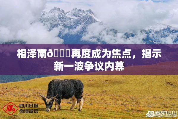 相泽南😚再度成为焦点，揭示新一波争议内幕