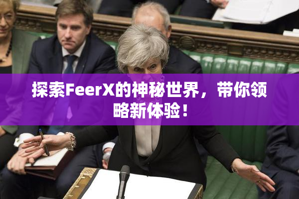 探索FeerX的神秘世界，带你领略新体验！