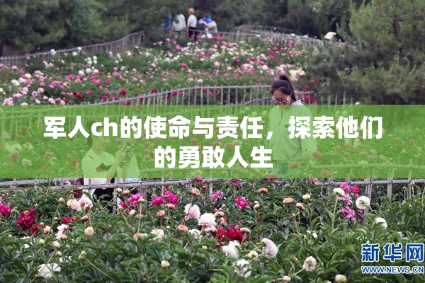 军人ch的使命与责任，探索他们的勇敢人生