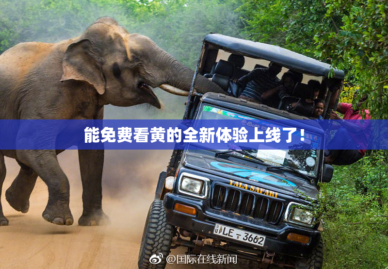 能免费看黄的全新体验上线了！