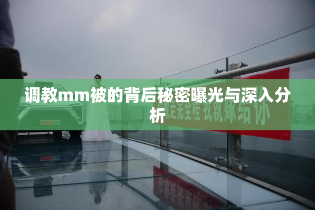 调教mm被的背后秘密曝光与深入分析