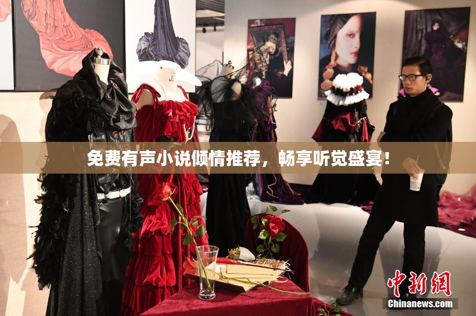 免费有声小说倾情推荐，畅享听觉盛宴！