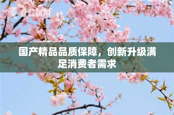国产精品品质保障，创新升级满足消费者需求