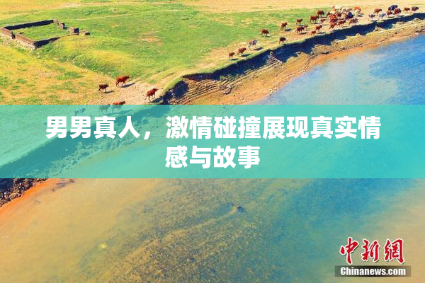 男男真人，激情碰撞展现真实情感与故事