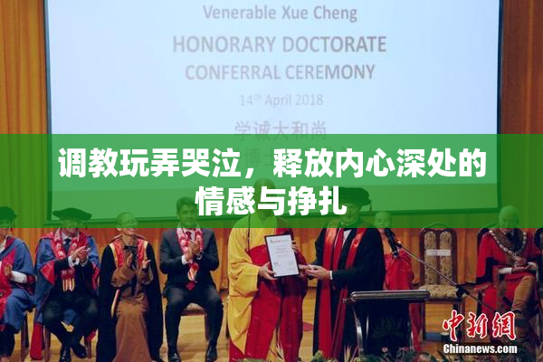 调教玩弄哭泣，释放内心深处的情感与挣扎
