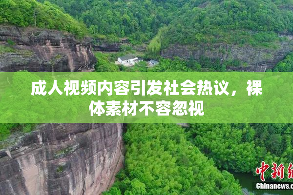 成人视频内容引发社会热议，裸体素材不容忽视