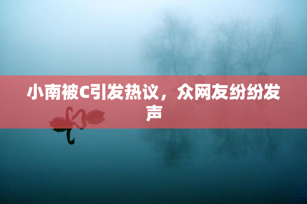小南被C引发热议，众网友纷纷发声