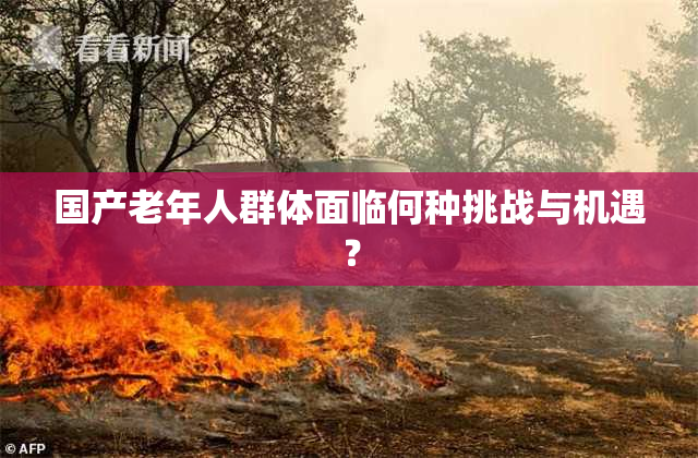 国产老年人群体面临何种挑战与机遇？