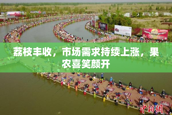 荔枝丰收，市场需求持续上涨，果农喜笑颜开