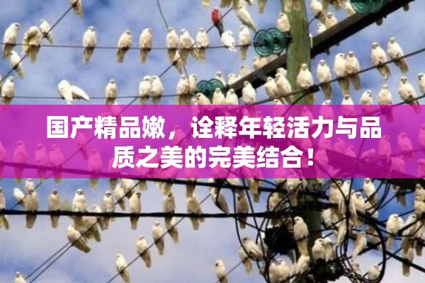 国产精品嫩，诠释年轻活力与品质之美的完美结合！