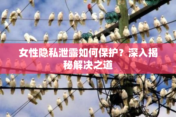 女性隐私泄露如何保护？深入揭秘解决之道