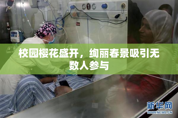 校园樱花盛开，绚丽春景吸引无数人参与