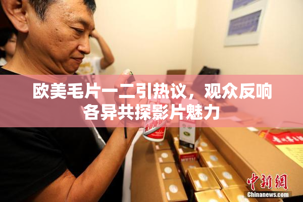 欧美毛片一二引热议，观众反响各异共探影片魅力