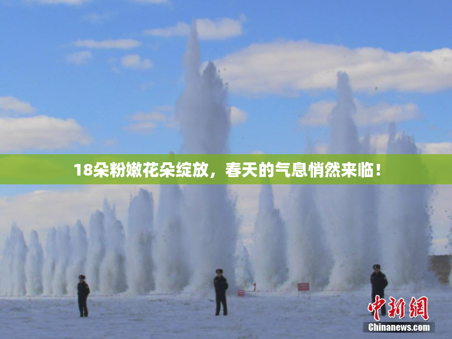 18朵粉嫩花朵绽放，春天的气息悄然来临！