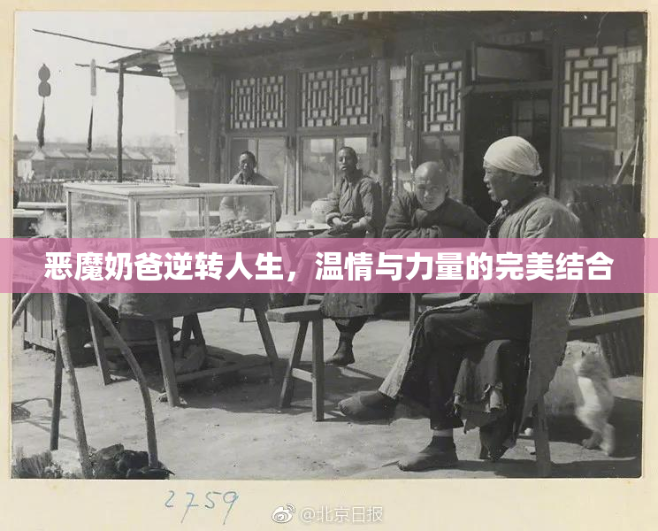 恶魔奶爸逆转人生，温情与力量的完美结合