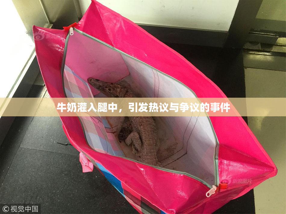 牛奶灌入腿中，引发热议与争议的事件