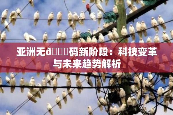 亚洲无🈚码新阶段：科技变革与未来趋势解析