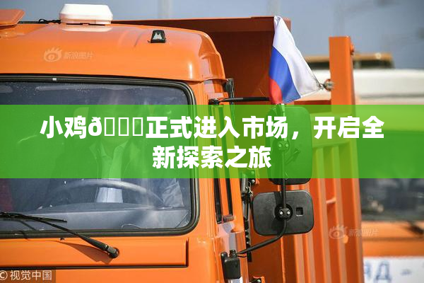 小鸡🐔正式进入市场，开启全新探索之旅