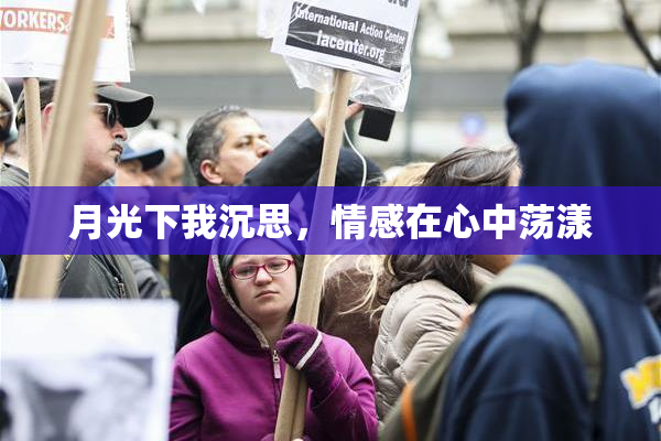 月光下我沉思，情感在心中荡漾