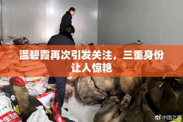 温碧霞再次引发关注，三重身份让人惊艳
