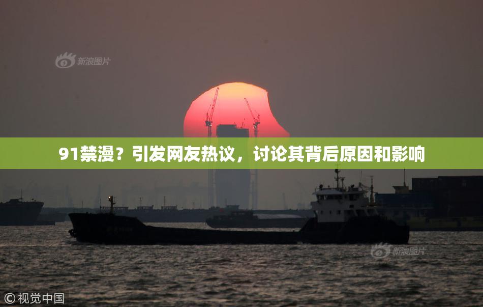 91禁漫？引发网友热议，讨论其背后原因和影响
