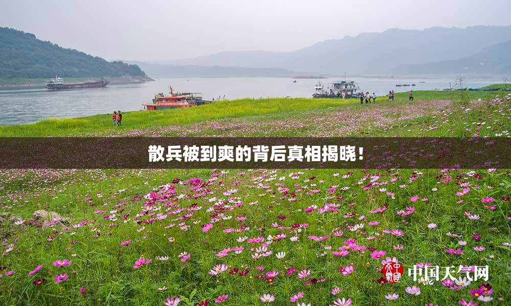 散兵被到爽的背后真相揭晓！