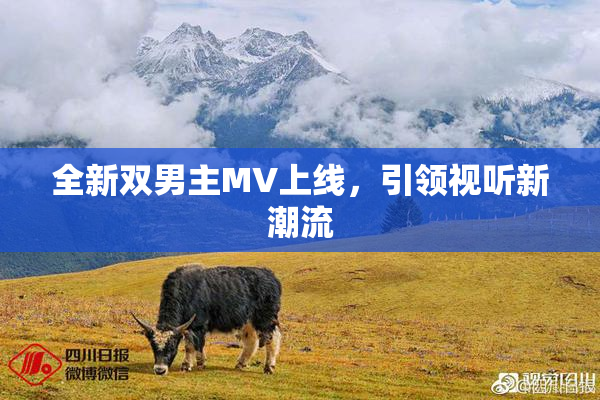全新双男主MV上线，引领视听新潮流