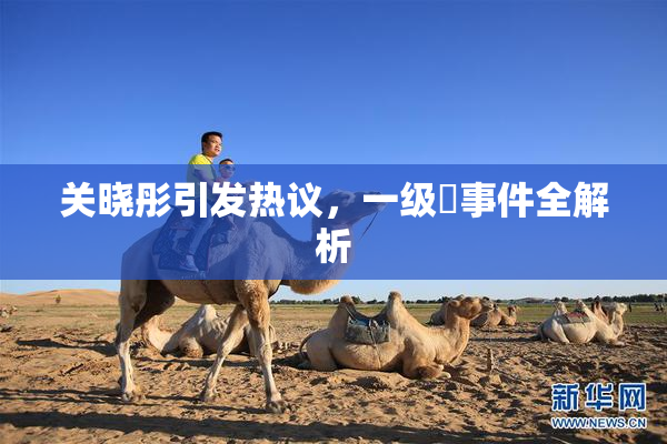 关晓彤引发热议，一级婬事件全解析