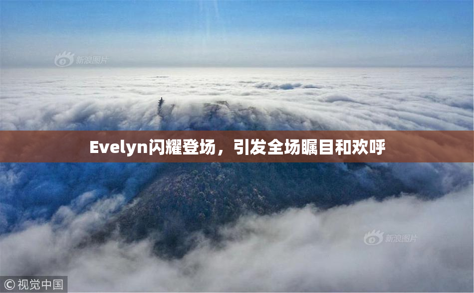 Evelyn闪耀登场，引发全场瞩目和欢呼
