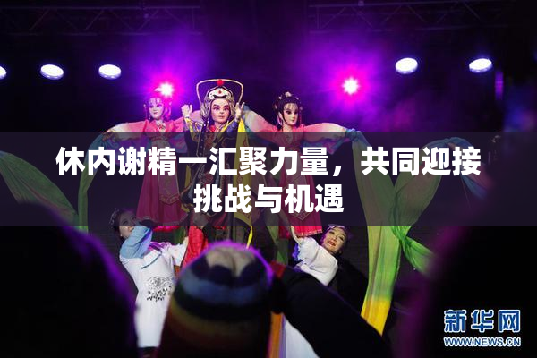 休内谢精一汇聚力量，共同迎接挑战与机遇