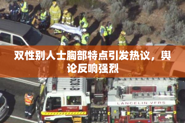 双性别人士胸部特点引发热议，舆论反响强烈