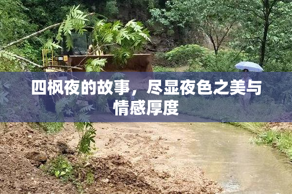 四枫夜的故事，尽显夜色之美与情感厚度