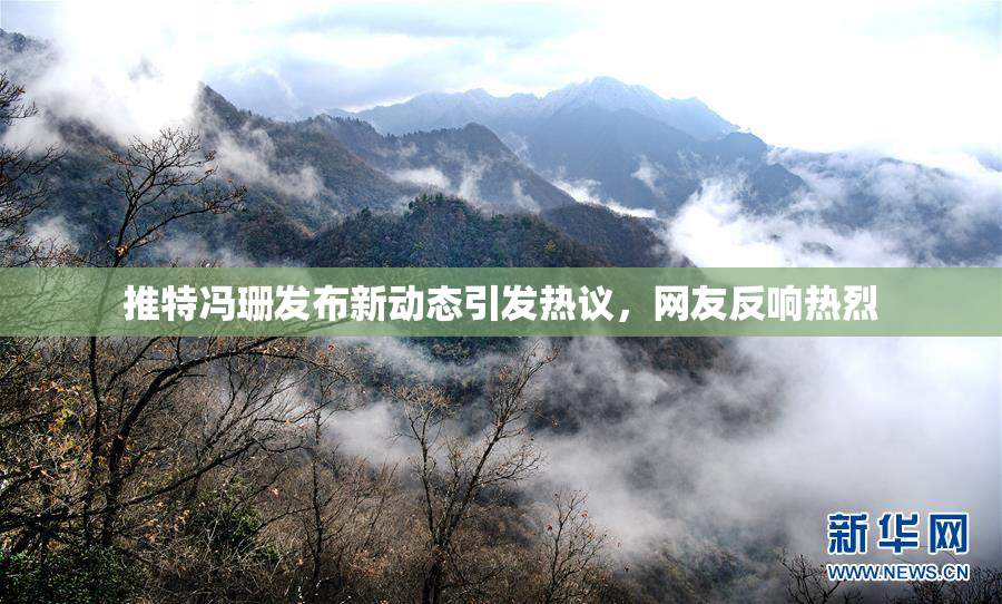 推特冯珊发布新动态引发热议，网友反响热烈