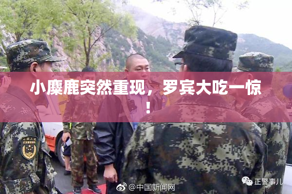 小麋鹿突然重现，罗宾大吃一惊！