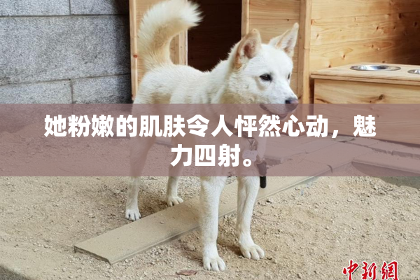 她粉嫩的肌肤令人怦然心动，魅力四射。