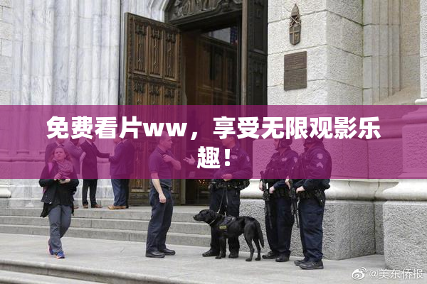 免费看片ww，享受无限观影乐趣！