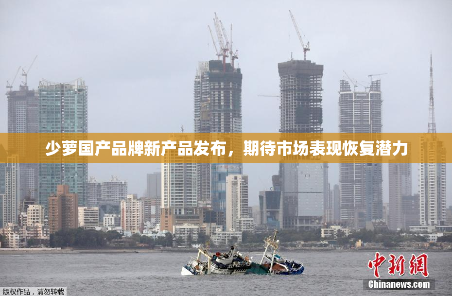 少萝国产品牌新产品发布，期待市场表现恢复潜力