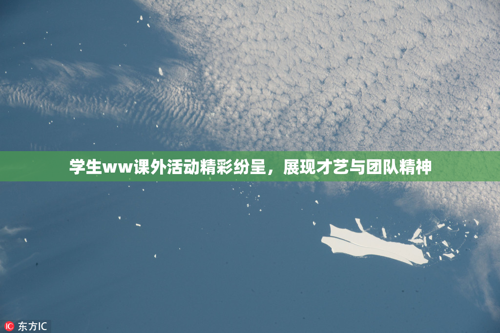 学生ww课外活动精彩纷呈，展现才艺与团队精神
