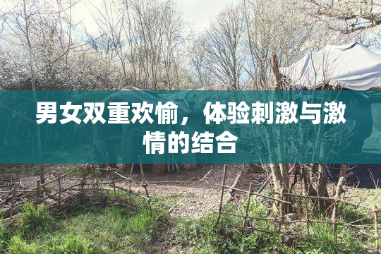 男女双重欢愉，体验刺激与激情的结合
