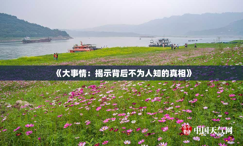 《大事情：揭示背后不为人知的真相》